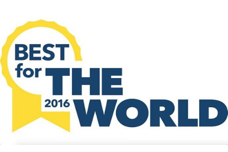 Lucky Iron Fish named 2016 Best for the World Honoree