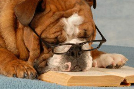 Tired of Being Tired? How to Optimize Your Iron Levels To Be Your Best Self