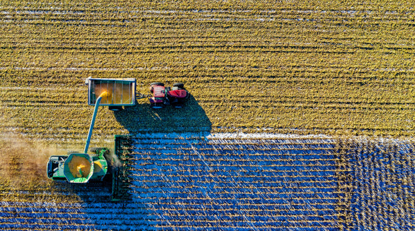 COP28 raises the need to highlight the link between nutrition and climate change
