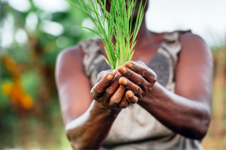 Need For Nuance In Discussing Access To Nutrition