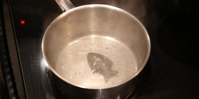 Lucky Iron Fish Quinoa