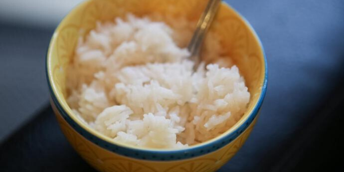 Lucky Iron Fish Rice