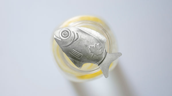 Pediatric Hematologist uses Lucky Iron Fish in Clinics