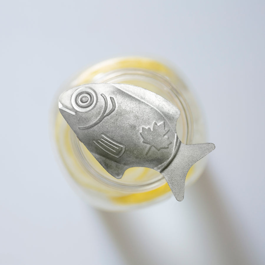 Pediatric Hematologist uses Lucky Iron Fish in Clinics