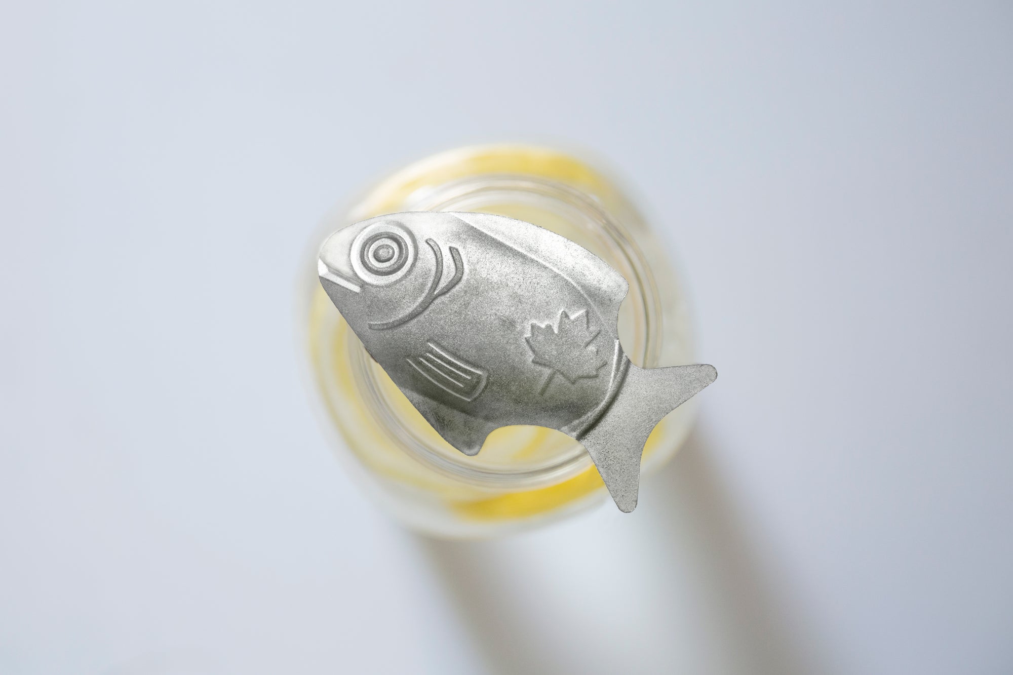 Pediatric Hematologist uses Lucky Iron Fish in Clinics