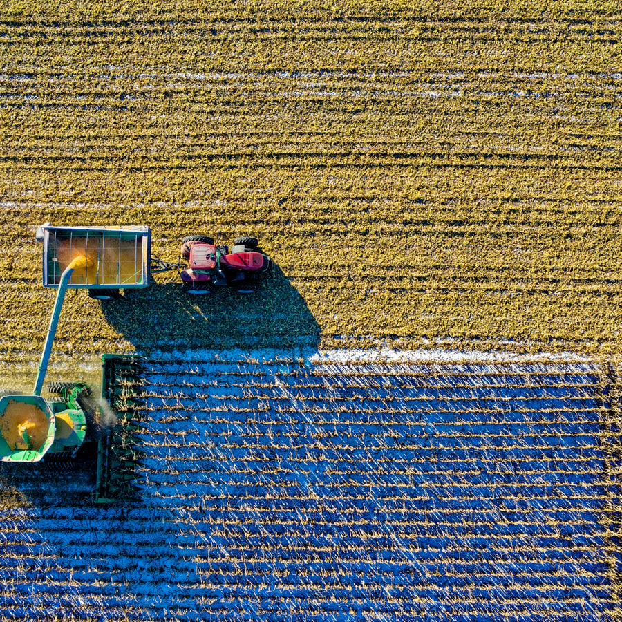 COP28 raises the need to highlight the link between nutrition and climate change