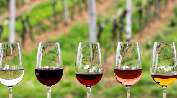 Is Wine Good for Raising Your Iron Levels?
