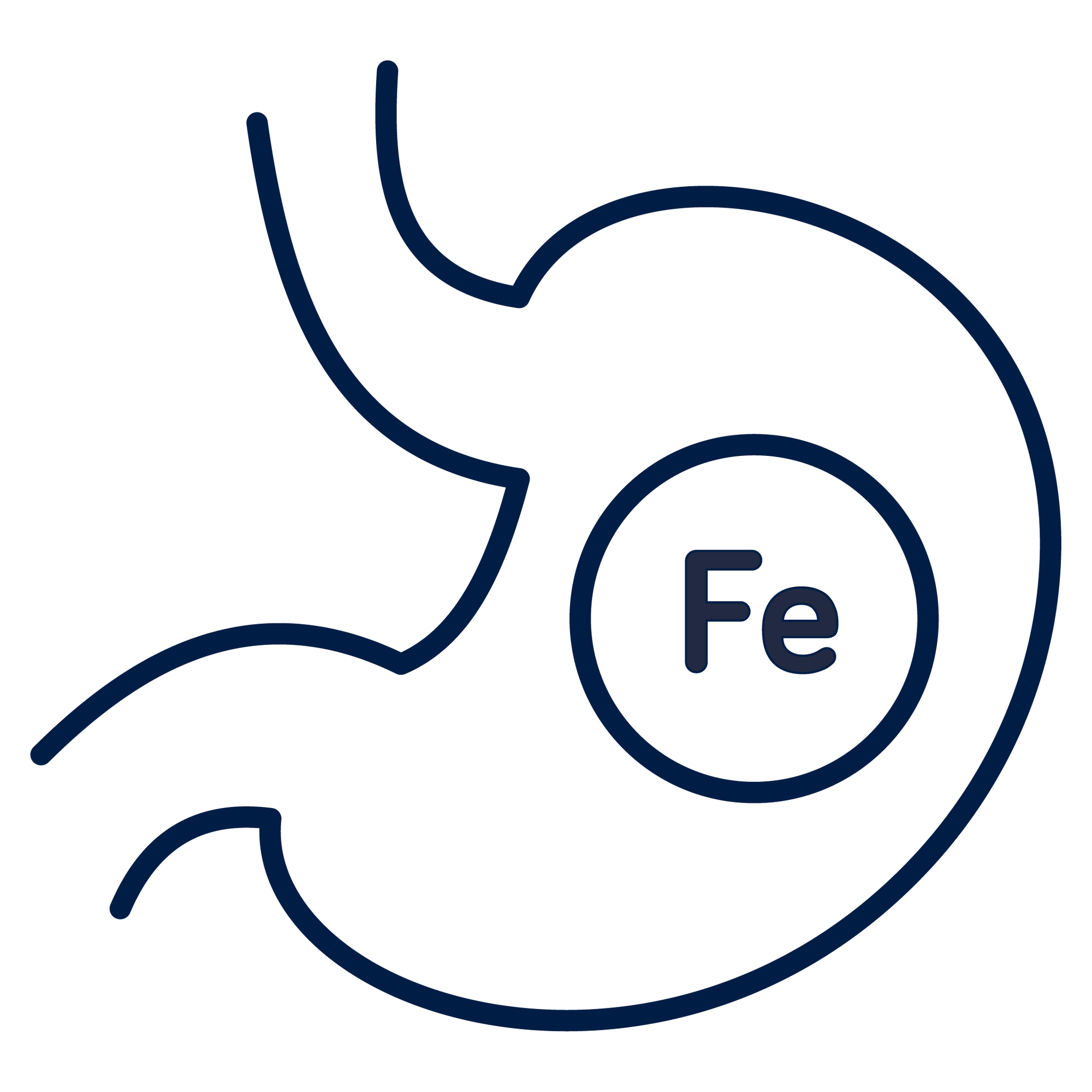 Side-effect-free tummy icon for the benefits of the Lucky Iron Fish